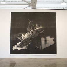 Nicole Franchy