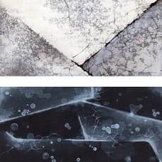 Margaret Yeung