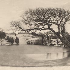 Peter Henry Emerson