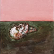 Henry Wuorila-Stenberg