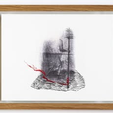 Hera Büyüktaşcıyan