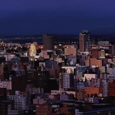 Mika CHIBA 千葉美香