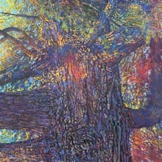 Benjamin Vanderwerff