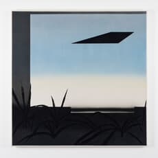 Dony Cheng Hung