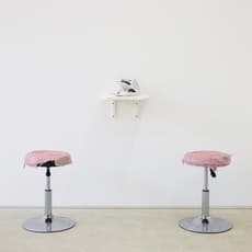 Woonghyun Kim