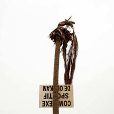 François-Xavier Gbré