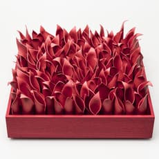 Keunwoo Lee
