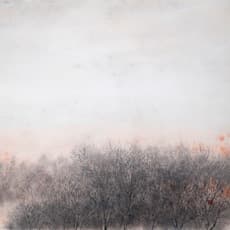 Terence Tan 陈智华