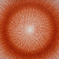 Meng Luding 孟禄丁