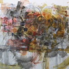 Zhang Lehua 张乐华