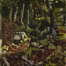 Fairfield Porter