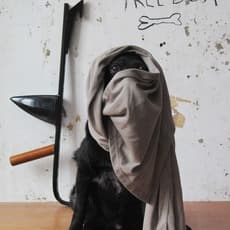 Thorsten Brinkmann