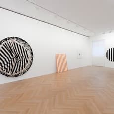Steven Parrino