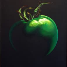 Juan Pimentel Martinez