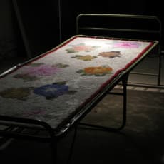 Zhang Xuerui 张雪瑞