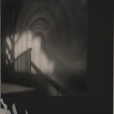 Renato Fazioli