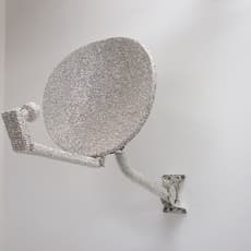 Wendy Wischer