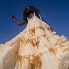 Yannis Davy Guibinga