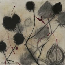 Suzi Davidoff