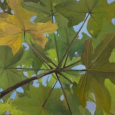 María Cristina Cortés