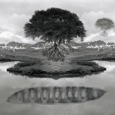 Jerry Uelsmann