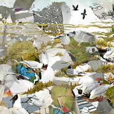 Jibade-Khalil Huffman