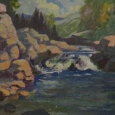 Thomas Wilberforce Mitchell