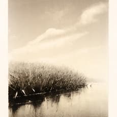 Wendy Orville