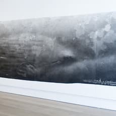 Jonathan Delafield Cook