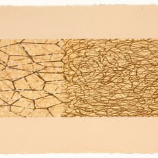 David Shapiro (1944-2014)