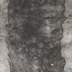 Zheng Chongbin 郑重宾