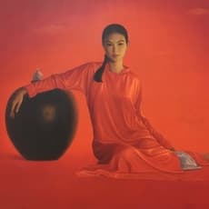 Tran Huy Hoan