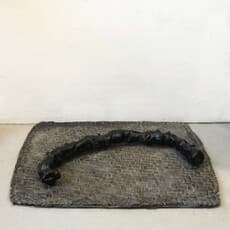 Sofia Salazar Rosales