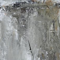 Heidi Berrin Shonkoff