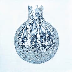 Kwang-Bum Jang