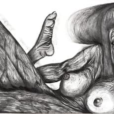 Roey Victoria Heifetz