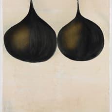 Norbert Schwontkowski