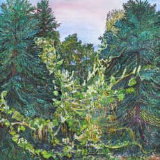 Nancy Friese