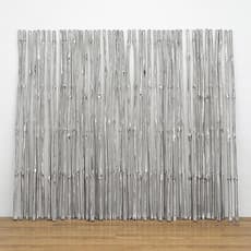Subodh Gupta