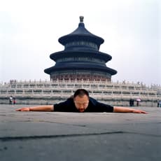Cang Xin 苍鑫