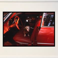 Lee Shulman & The Anonymous Project