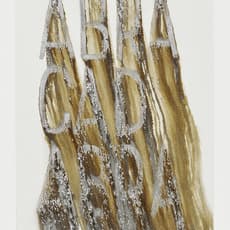 Navid Nuur