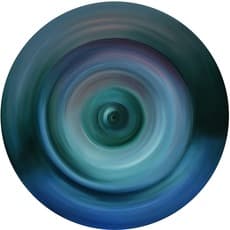 Shen Hua 沈桦