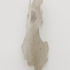 Daniel Steegmann Mangrané