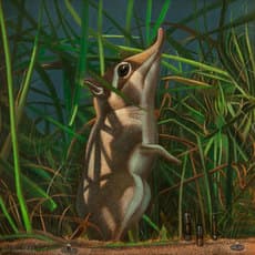 Jean Pierre Arboleda