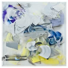 Danielle Frankenthal