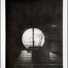 Peter Miller