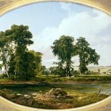 David Johnson (1827-1908)