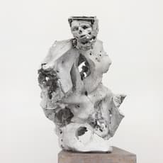 Peter Rogiers