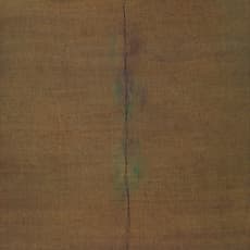 Sung Hy Shin